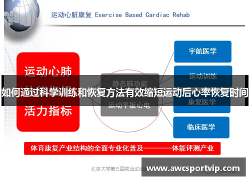 如何通过科学训练和恢复方法有效缩短运动后心率恢复时间