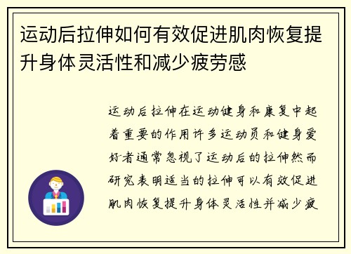 运动后拉伸如何有效促进肌肉恢复提升身体灵活性和减少疲劳感